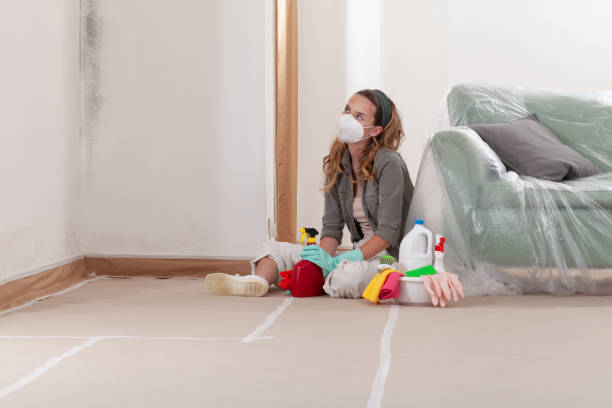 Reliable Mold Testing contractor in Largo, MD by WQB Mold Removal